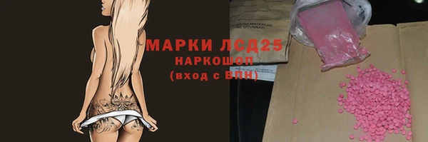 сатива Абинск